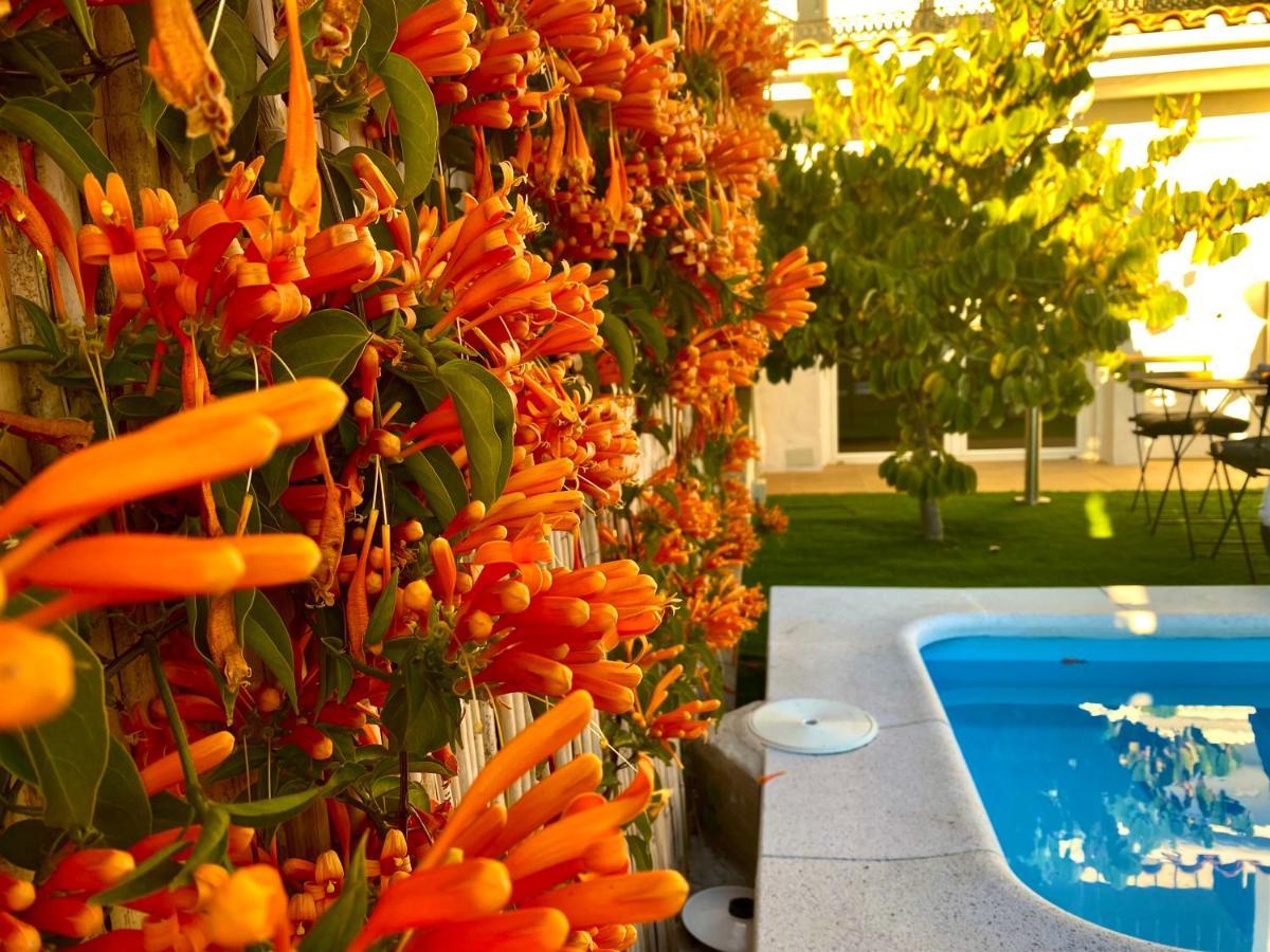 Suite Apto de invitados Montes de Málaga- Climatized Pool&Garden Exterior foto